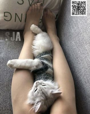 饮食男女高清免费完整版在线观看