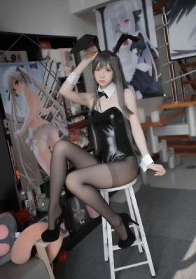 大秦赋全集免费播放